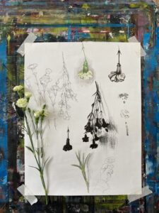 Different renders of a flower